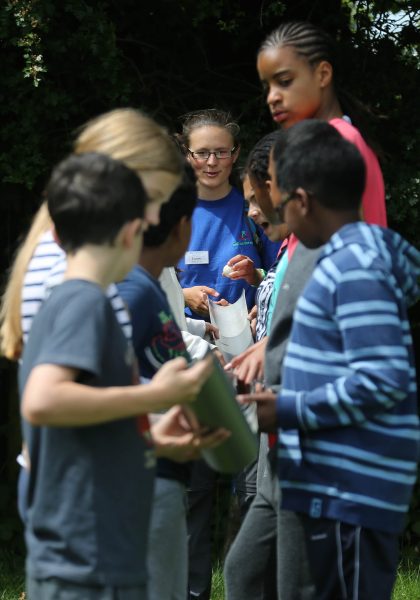 Students guide a ball down a series of ramps.