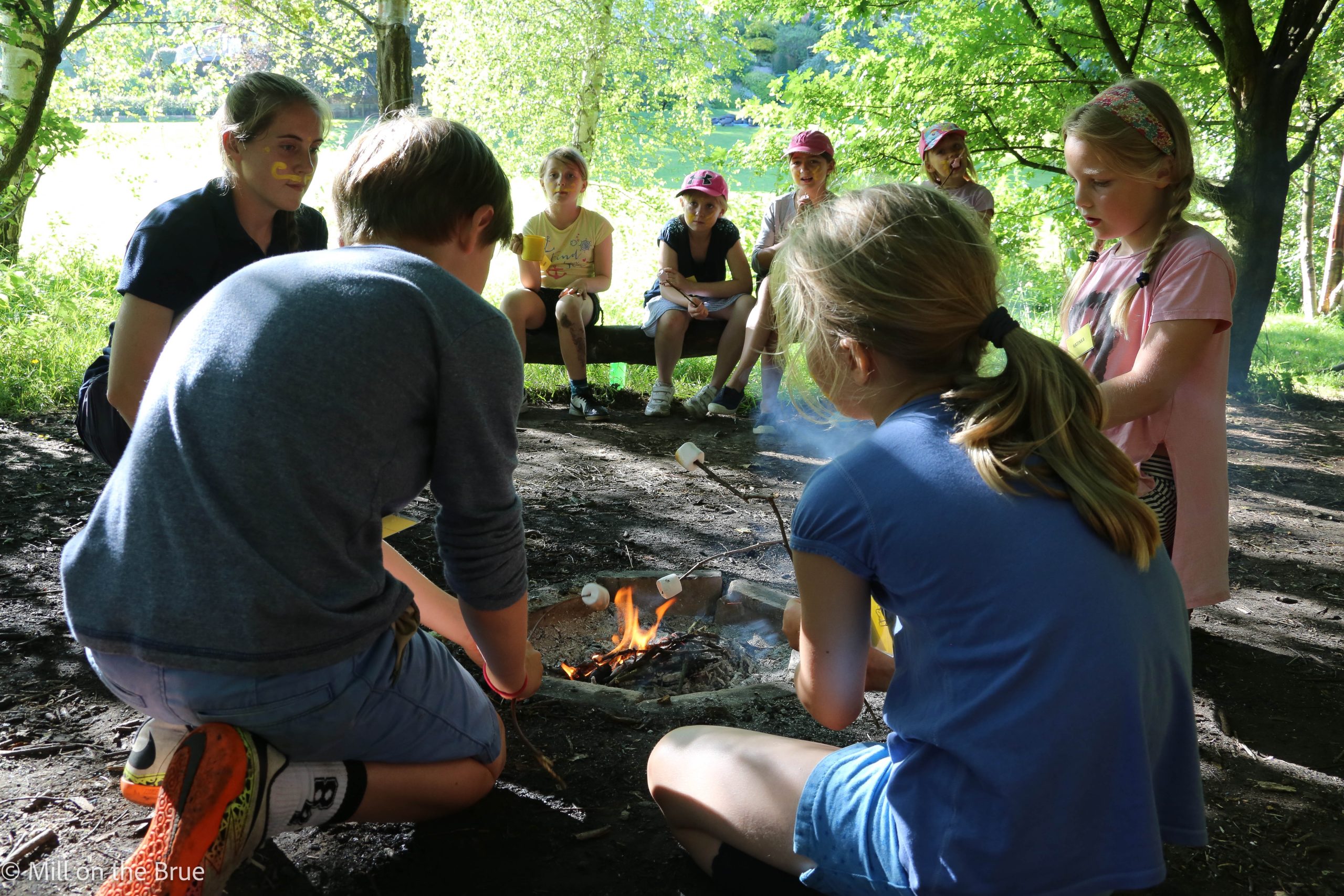 Children roast marshmallows around a campfire.